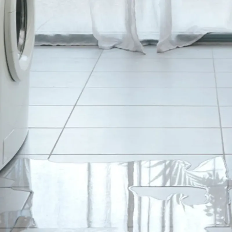 Appliance Leak Cleanup in Diamond Bar, CA